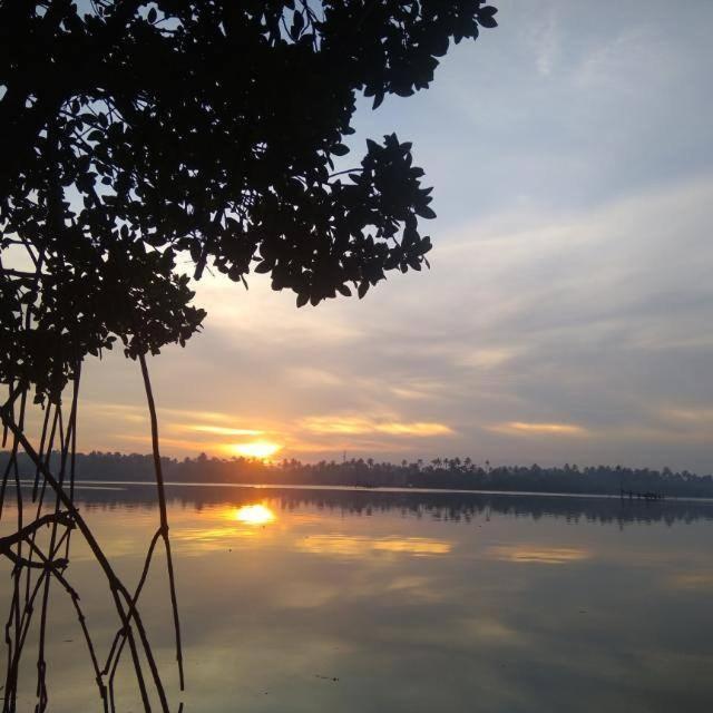 Lakefront Beach Homes Cherai Beach Exterior photo